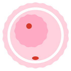 Oocyte donation