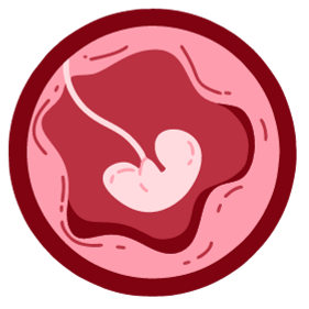 Time Lapse Embryo Monitoring