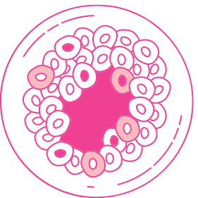 ovulation-induction-cycle-monitoring