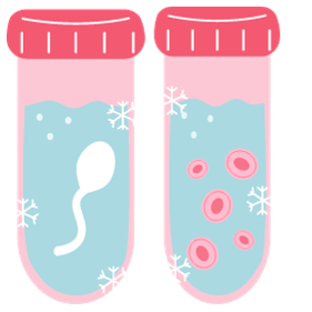 Vitrification of Eggs at the best IVF Center in Patnaitrification of eggs IVF